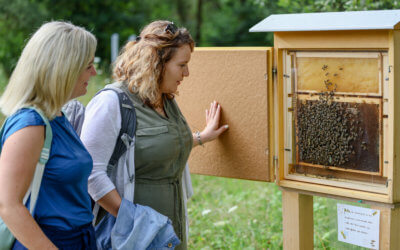 Besuch der Berufsimkerei „Die Honigsammler“ in Grimoldsried