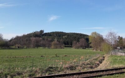 1. Mai 2026: Wanderung zum Buschelberg bei Fischach